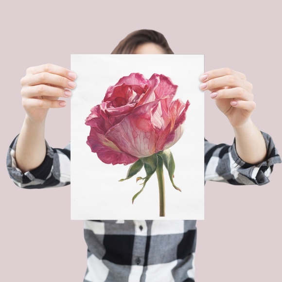 Watercolor Single Pink Rose Wall Art Print, Unframed - Delicate Floral Elegance - Picture 4 of 6